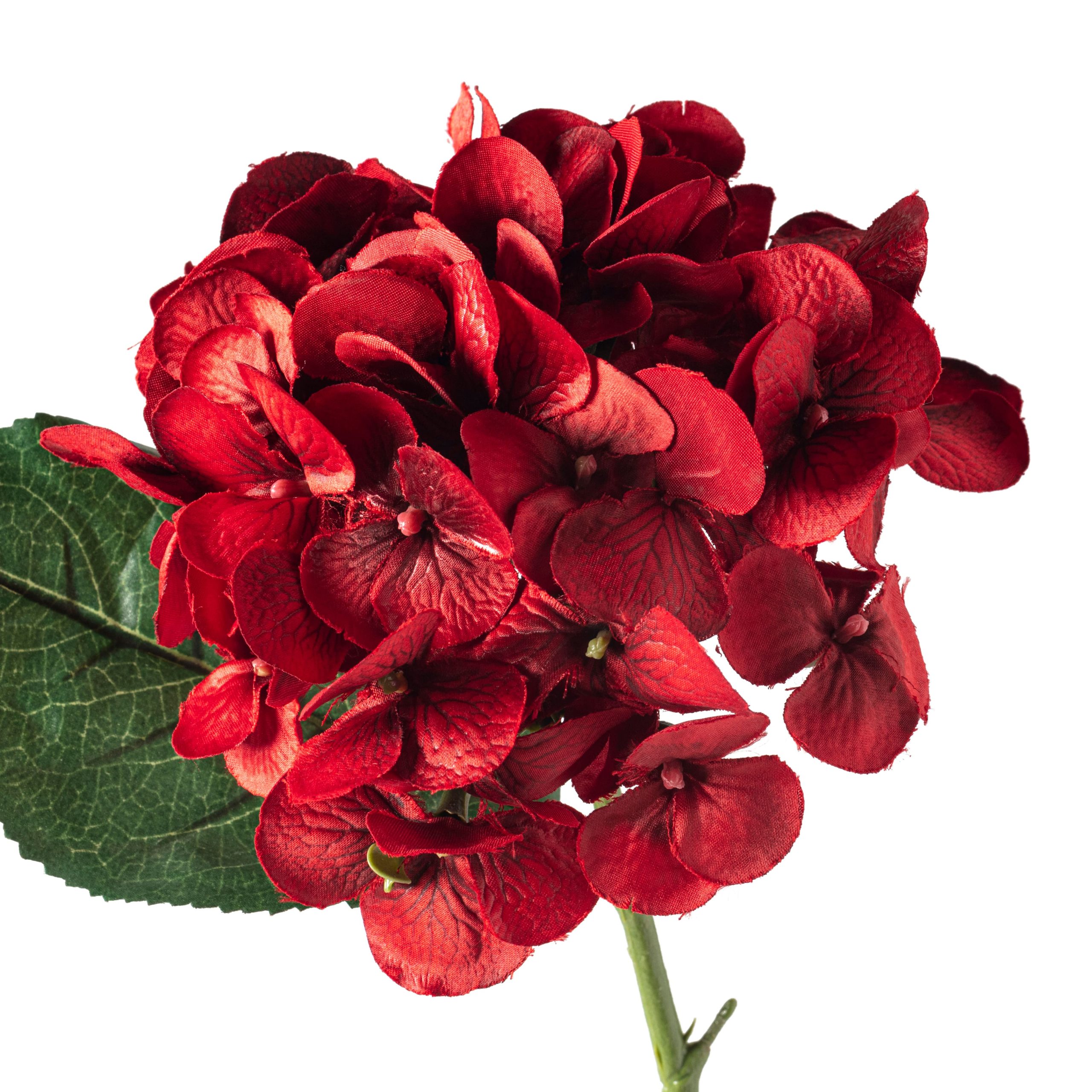 25" Hydrangea Stem by Ashland® - Image 3