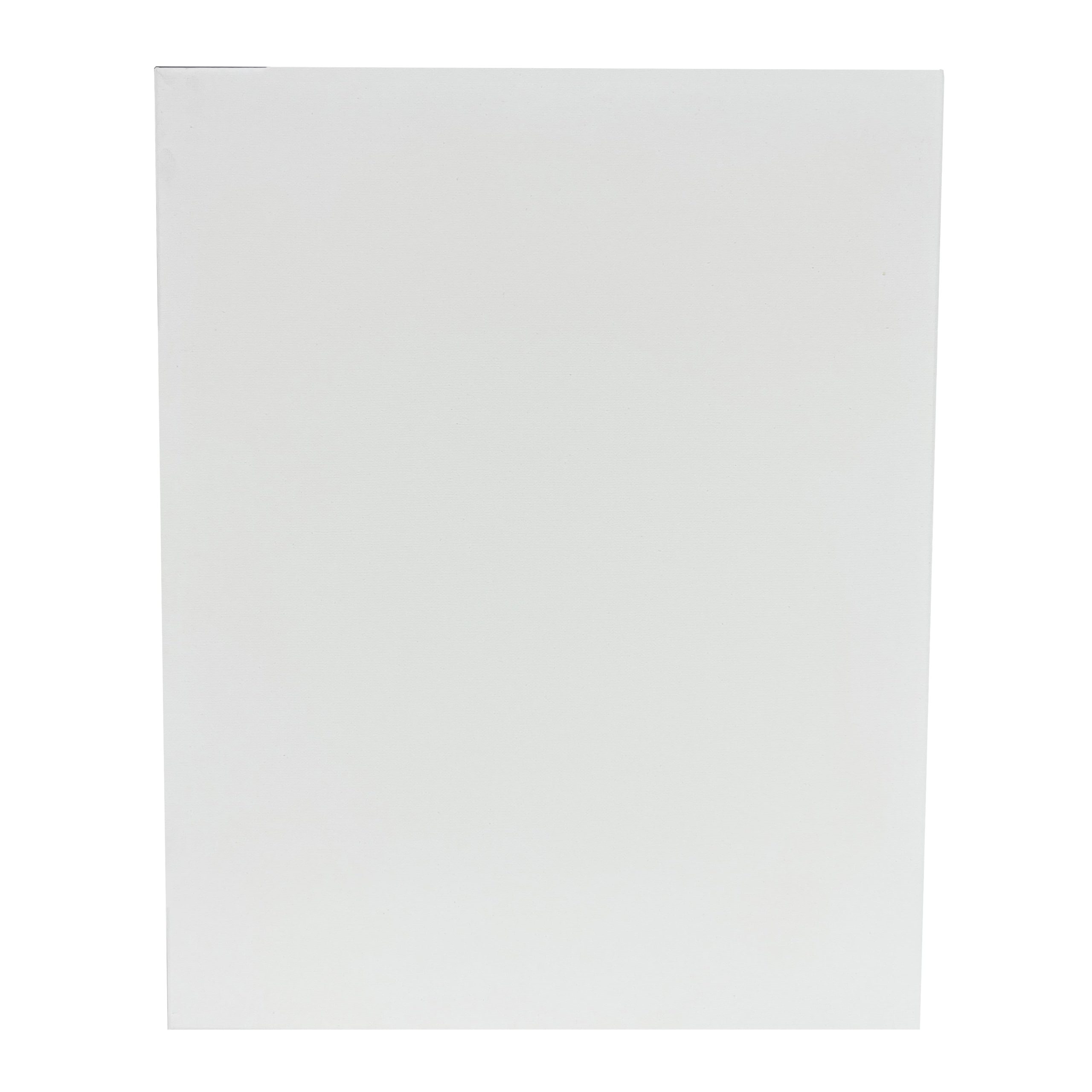 5 Pack 16" x 20" Super Value Canvas by Artist's Loft® - Image 3